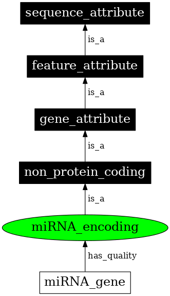 Graph image for SO:0000571