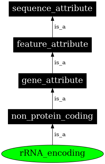 Graph image for SO:0000573