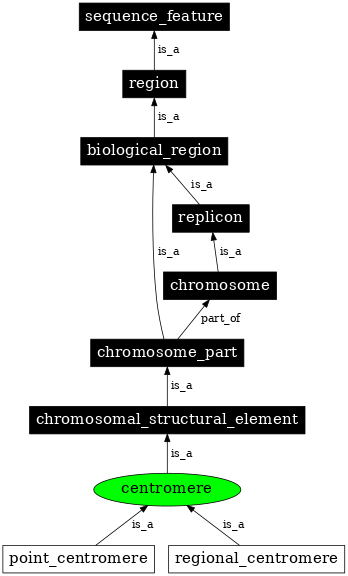 Graph image for SO:0000577