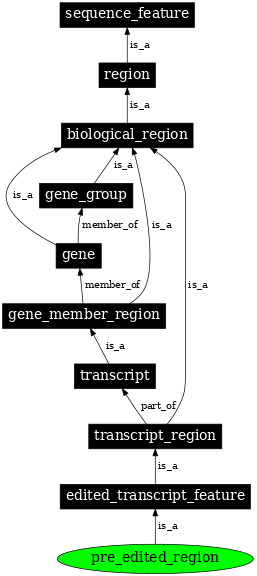 Graph image for SO:0000583