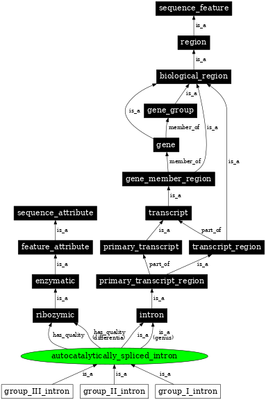 Graph image for SO:0000588