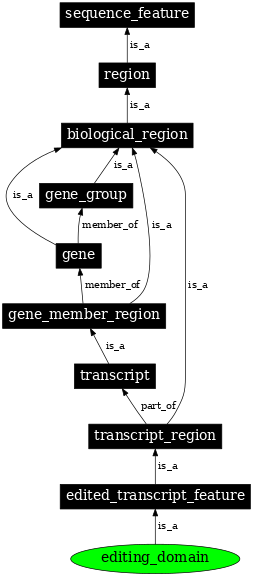 Graph image for SO:0000606