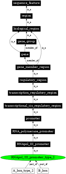 Graph image for SO:0000618