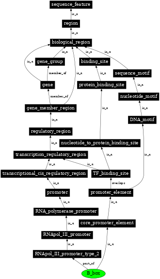 Graph image for SO:0000620