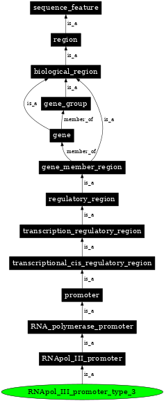 Graph image for SO:0000621