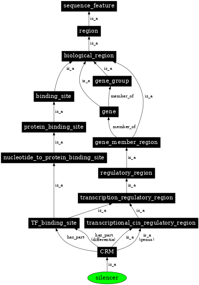 Graph image for SO:0000625