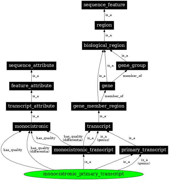 Graph image for SO:0000632