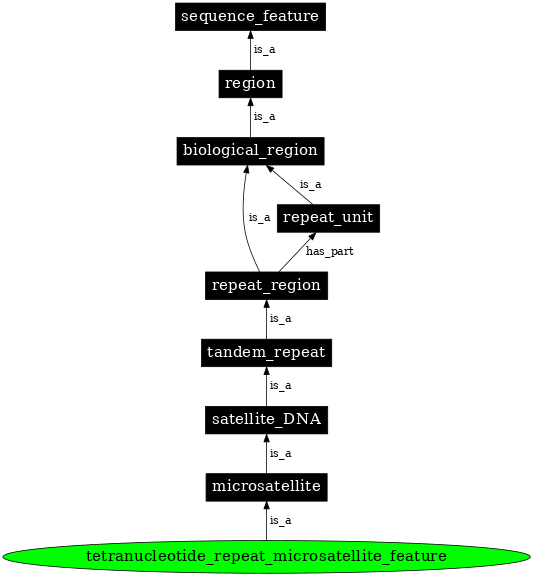 Graph image for SO:0000641