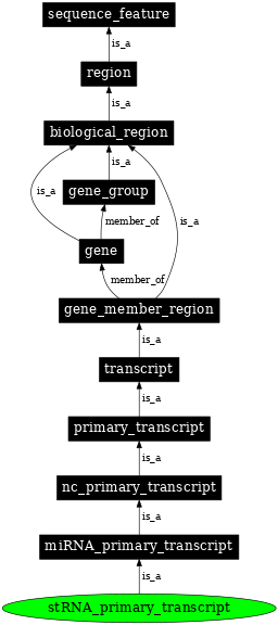 Graph image for SO:0000648