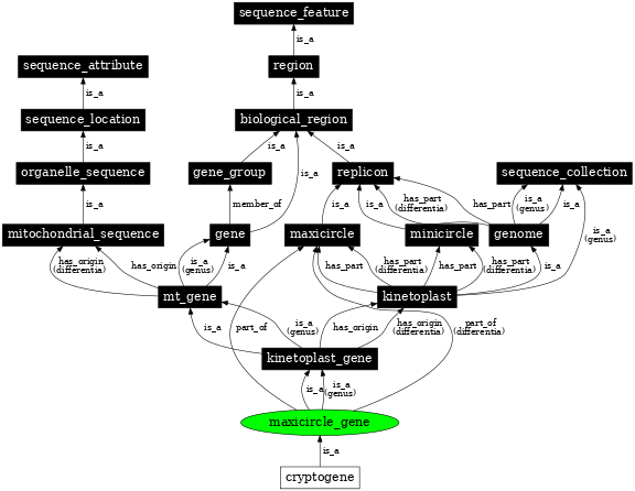 Graph image for SO:0000654