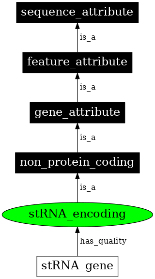 Graph image for SO:0000656