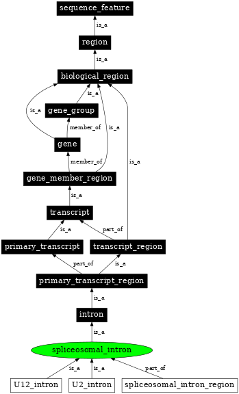 Graph image for SO:0000662