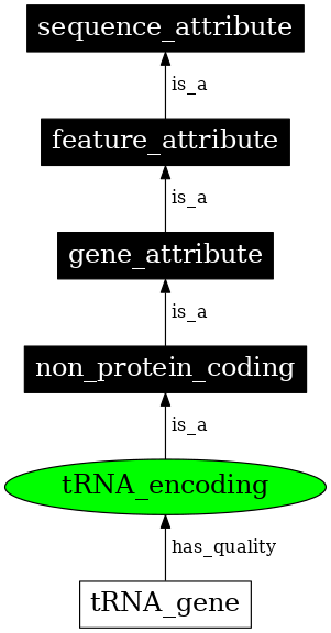 Graph image for SO:0000663