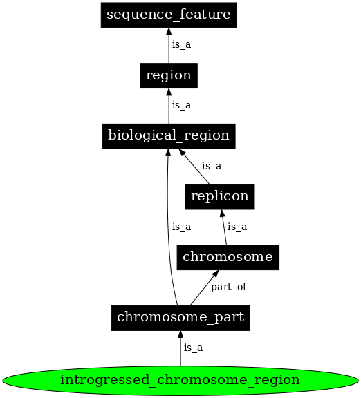 Graph image for SO:0000664