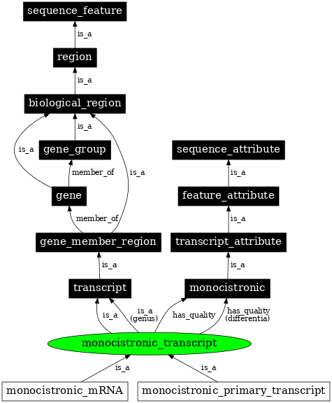 Graph image for SO:0000665