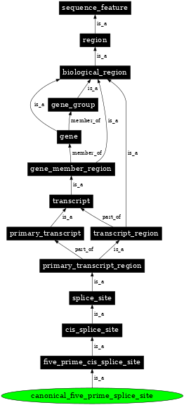 Graph image for SO:0000677