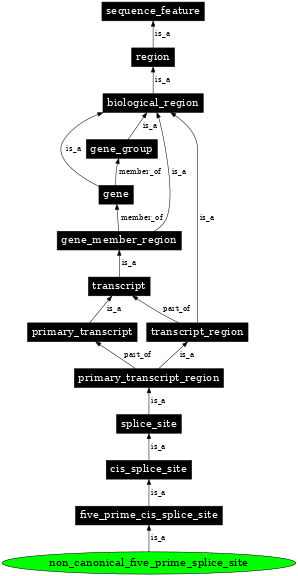 Graph image for SO:0000679