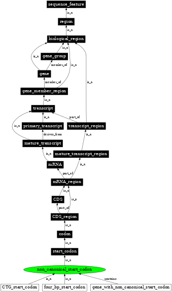 Graph image for SO:0000680