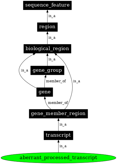 Graph image for SO:0000681