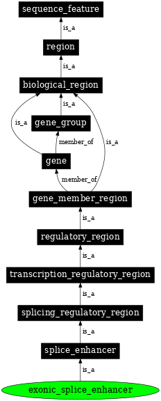 Graph image for SO:0000683