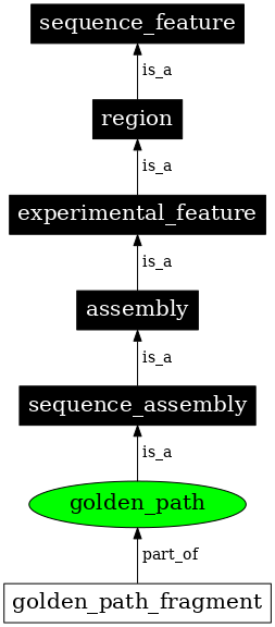 Graph image for SO:0000688