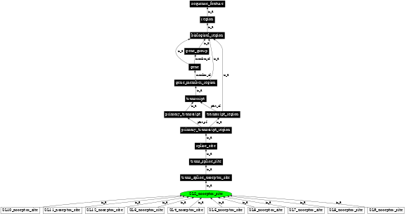 Graph image for SO:0000709