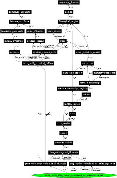 Graph image for SO:0000710