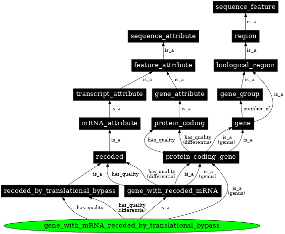 Graph image for SO:0000711