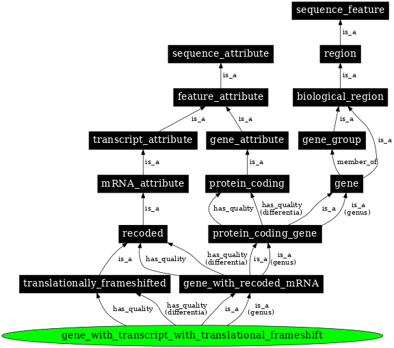 Graph image for SO:0000712