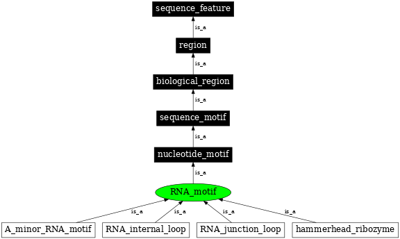 Graph image for SO:0000715