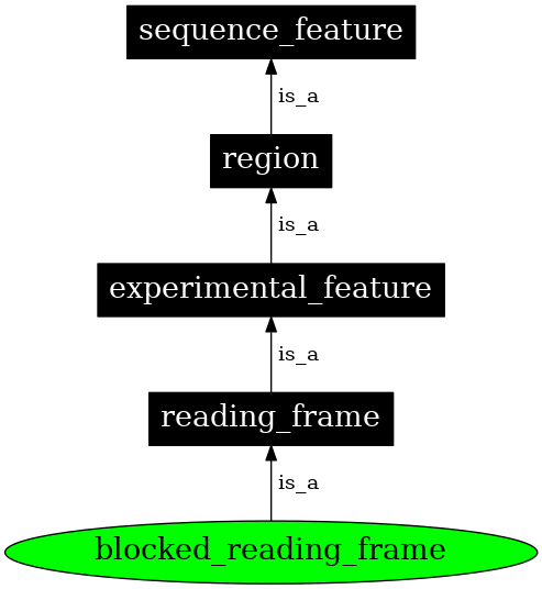 Graph image for SO:0000718