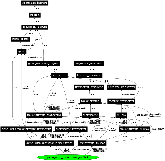 Graph image for SO:0000722