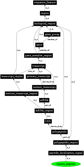 Graph image for SO:0000725