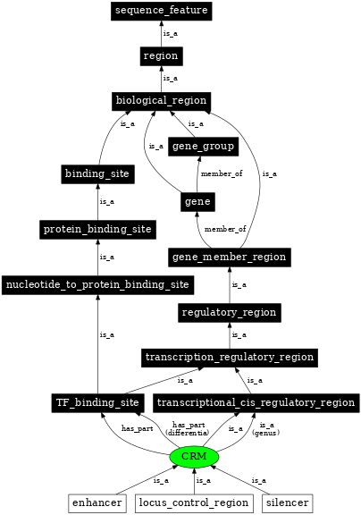 Graph image for SO:0000727