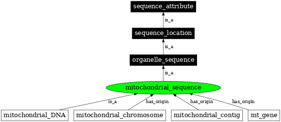 Graph image for SO:0000737