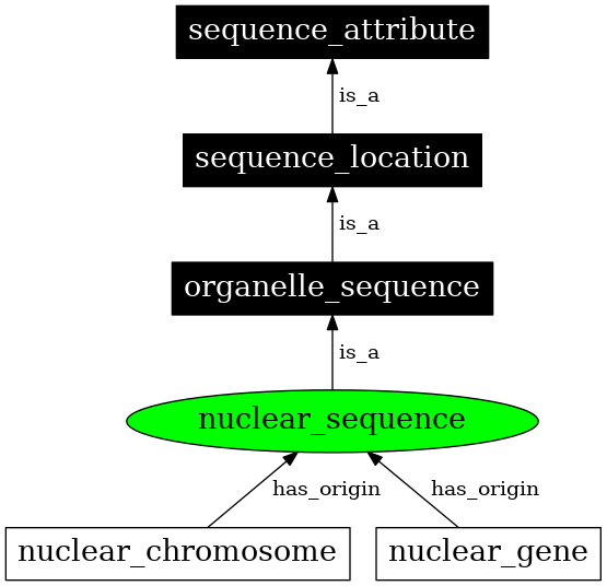 Graph image for SO:0000738