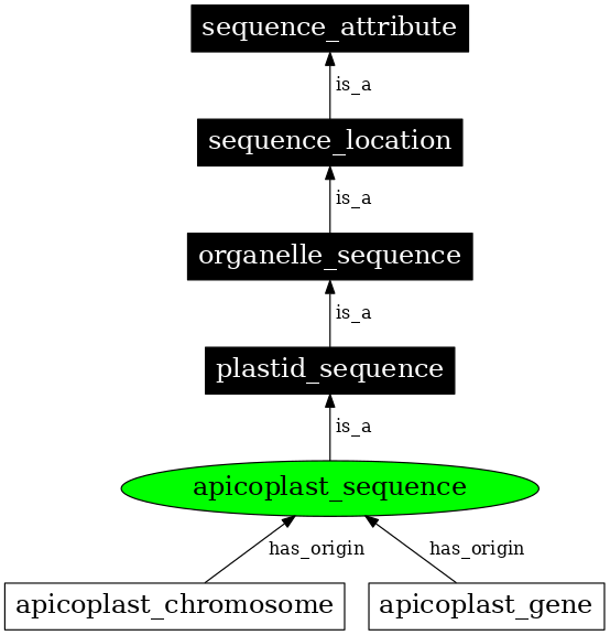 Graph image for SO:0000743