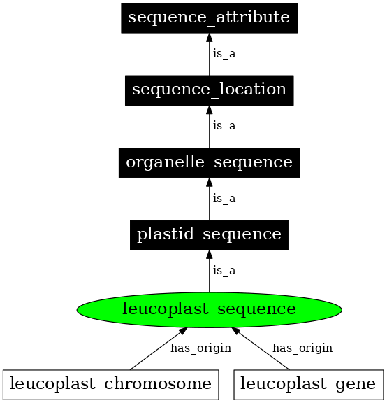 Graph image for SO:0000747