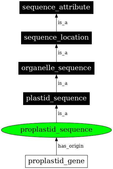 Graph image for SO:0000748