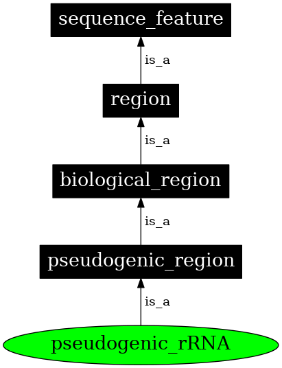 Graph image for SO:0000777