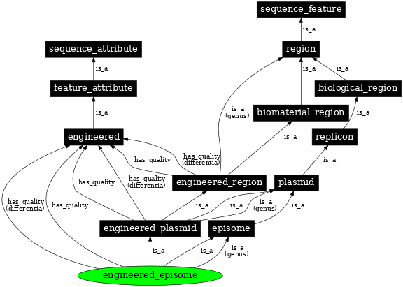 Graph image for SO:0000779