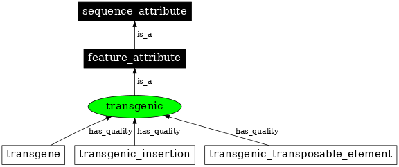 Graph image for SO:0000781