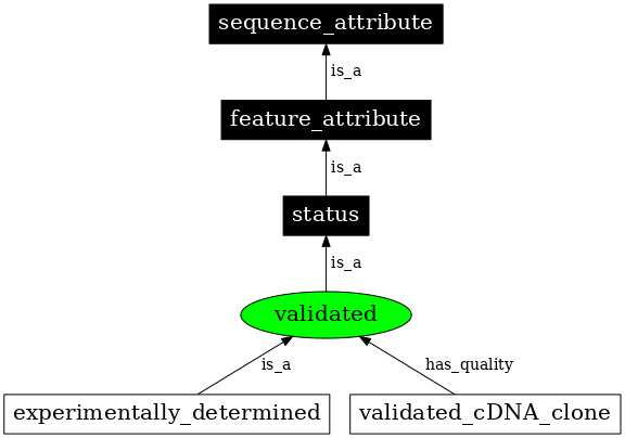 Graph image for SO:0000789