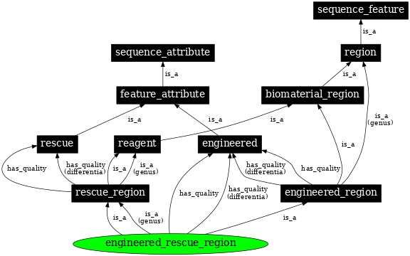 Graph image for SO:0000794