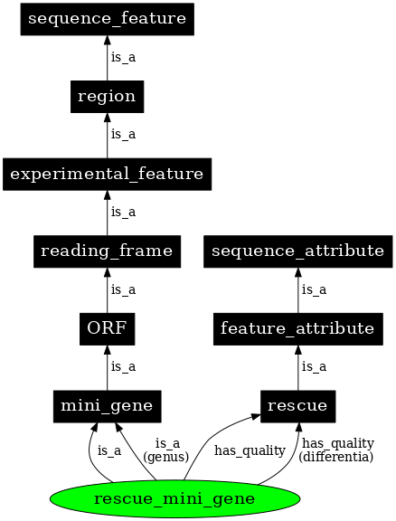 Graph image for SO:0000795