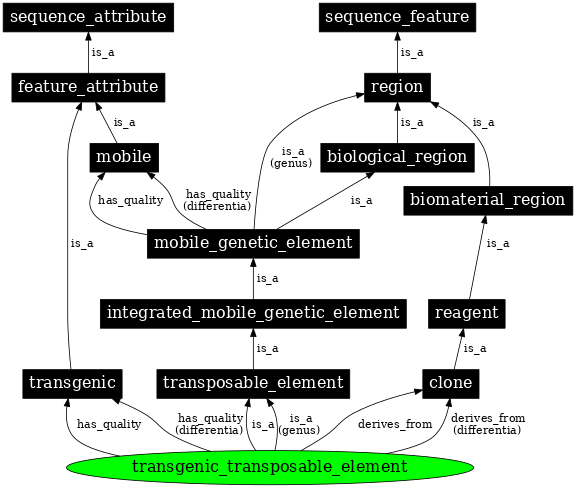 Graph image for SO:0000796