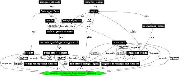 Graph image for SO:0000799