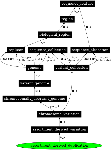 Graph image for SO:0000800