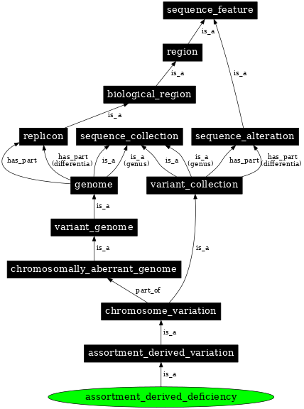 Graph image for SO:0000802