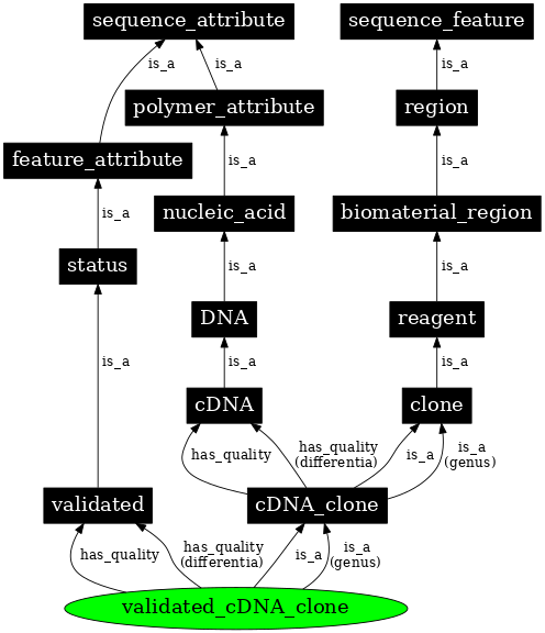 Graph image for SO:0000808